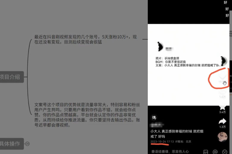 图片[2] - 最新抖音暴力文案号，五天涨粉 10w+，喂饭级拆解教学 - Hope`Chen资源网