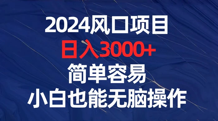 2024 风口项目，日入 3000+，简单容易，小白也能无脑操作 - Hope`Chen资源网