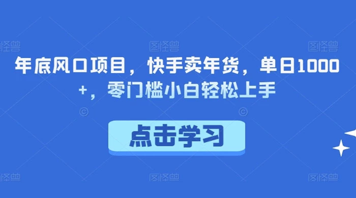 年底风口项目，快手卖年货，单日 1000+，零门槛小白轻松上手 - Hope`Chen资源网