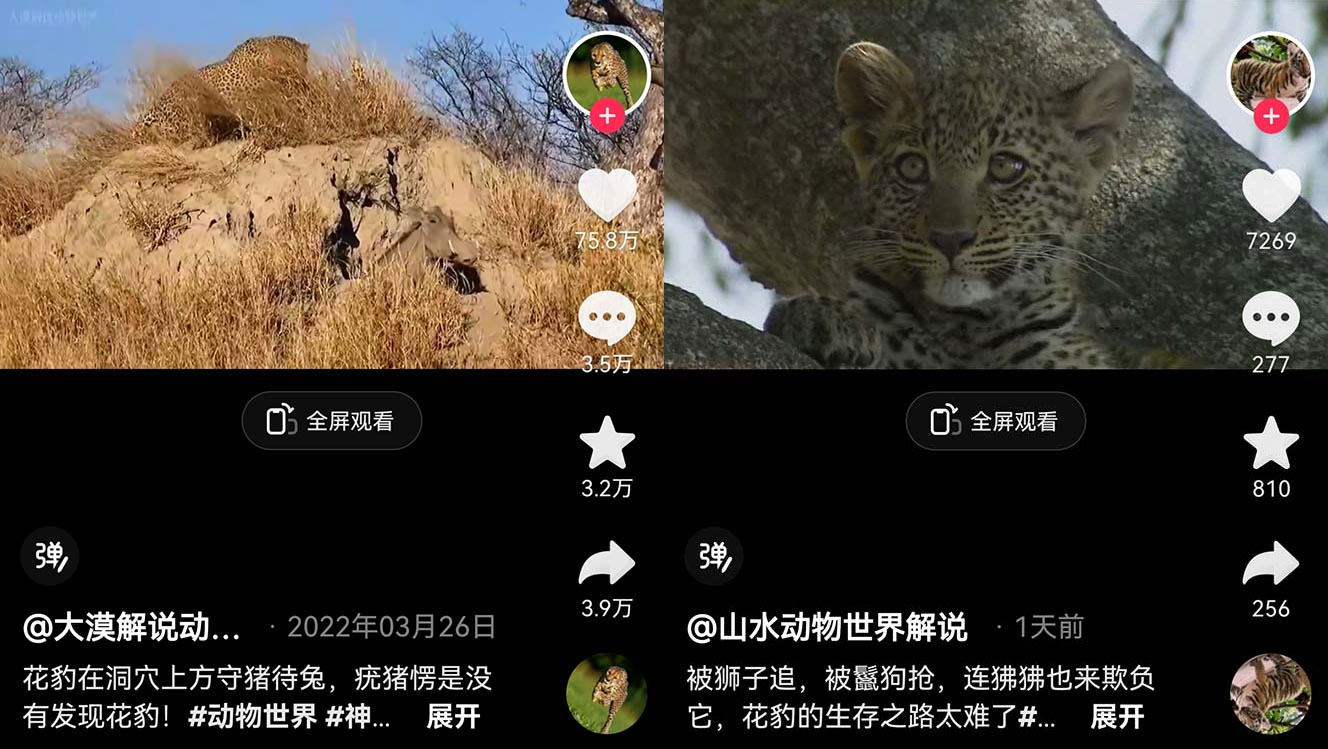 外面卖 1699 的国外纪录片解说：动物、美食、动画片解说，稳过中视频 - Hope`Chen资源网