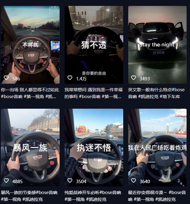 图片[2] - 抖音开车视频项目：0基础操作，每天五分钟，月入过万 - Hope`Chen资源网