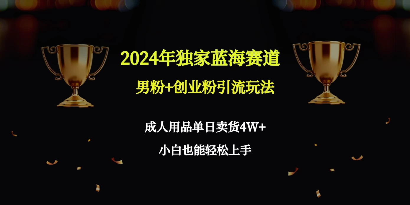2024独家蓝海赛道，男粉＋创业粉引流玩法。 - Hope`Chen资源网